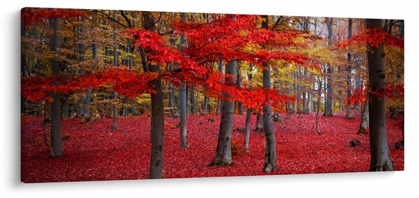Obraz - Červený les (120x50 cm)