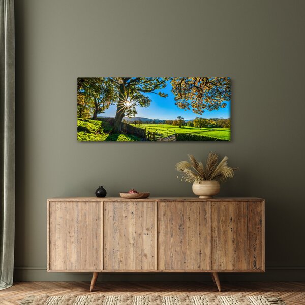 Obraz - Výhľad na pole (120x50 cm)