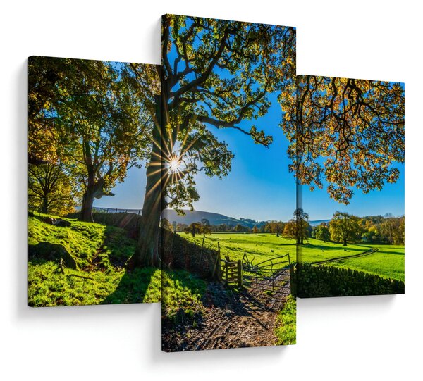 Obraz - Výhľad na pole (90x60 cm)
