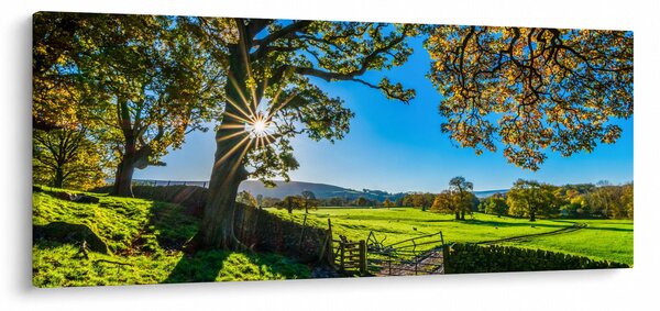 Obraz - Výhľad na pole (120x50 cm)