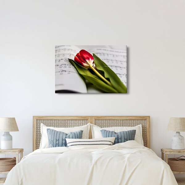 Obraz červeného tulipánu (90x60 cm)