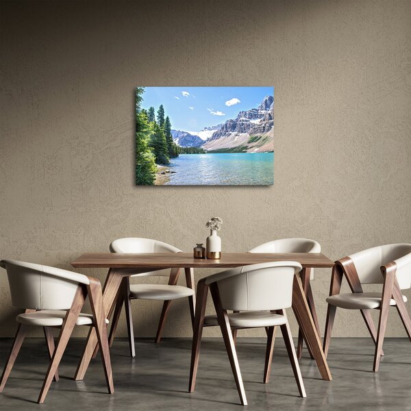Obraz Alpského jazera (70x50 cm)