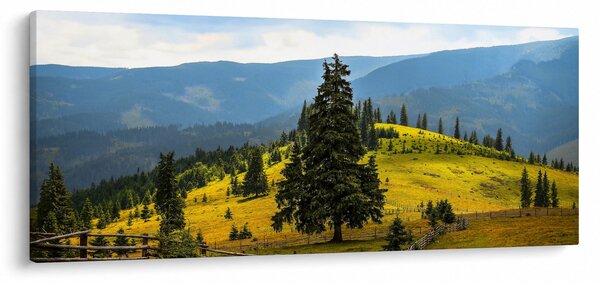 Obraz - Horská lúka (120x50 cm)