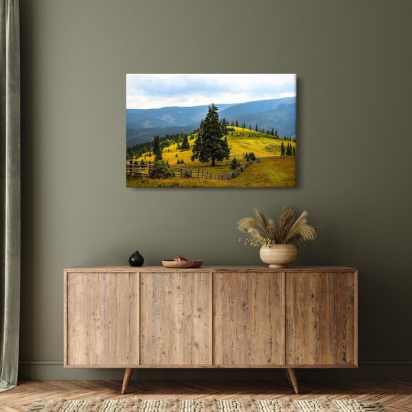 Obraz - Horská lúka (90x60 cm)