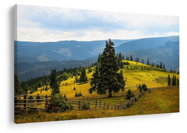 Obraz - Horská lúka (90x60 cm)