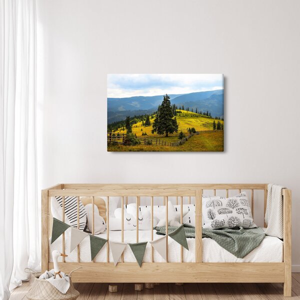 Obraz - Horská lúka (90x60 cm)