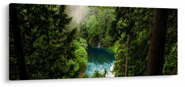 Obraz - Priezor medzi stromami (120x50 cm)