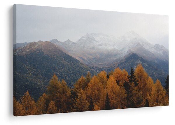 Obraz - Výhľad na hrebene hôr (90x60 cm)