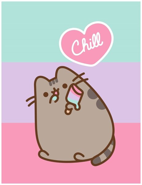 Coral fleece deka mačička Pusheen - motív Chill - 130 × 170 cm