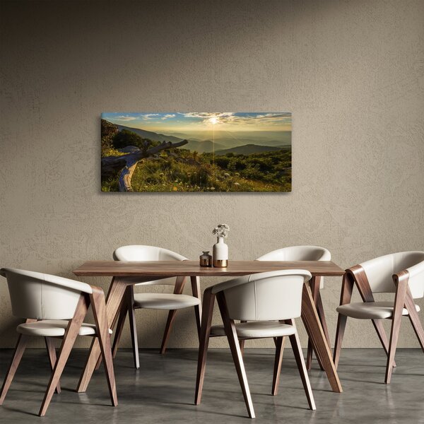 Obraz - Výhľad do okolia (120x50 cm)