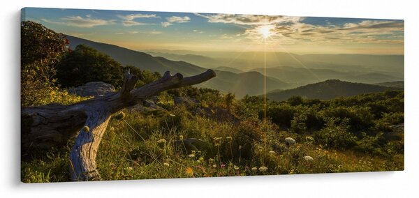 Obraz - Výhľad do okolia (120x50 cm)