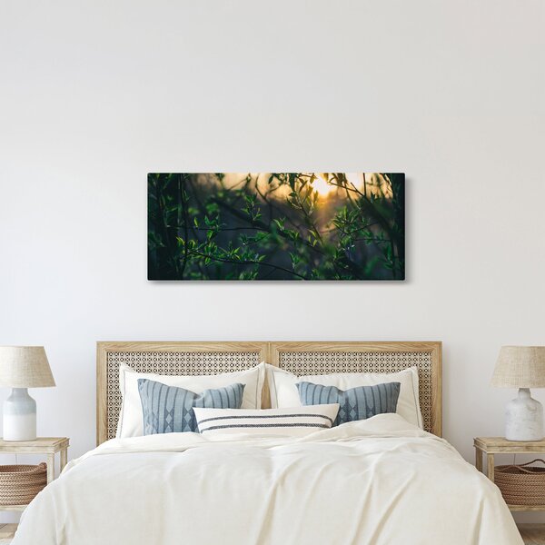 Obraz presvitajúceho slnka cez vetvičky stromov (120x50 cm)