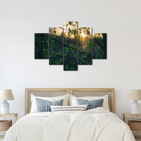 Obraz presvitajúceho slnka cez vetvičky stromov (150x105 cm)