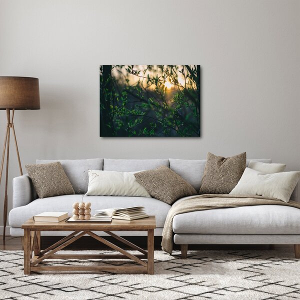Obraz presvitajúceho slnka cez vetvičky stromov (70x50 cm)