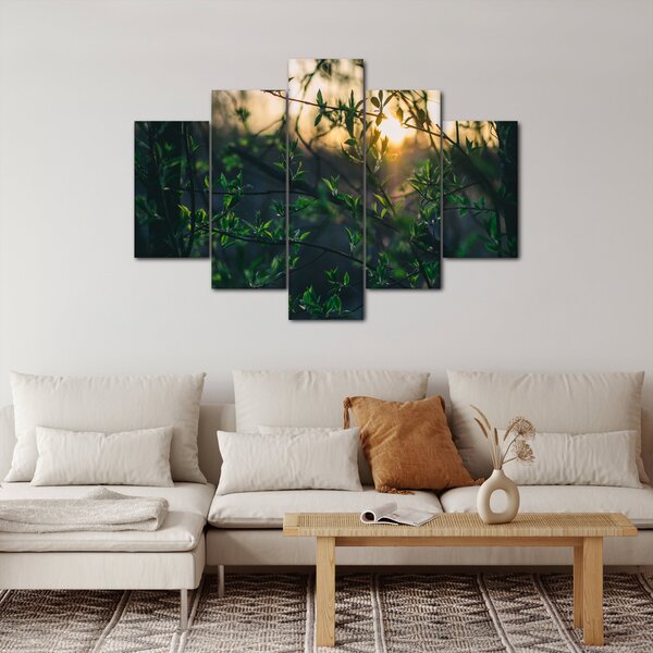 Obraz presvitajúceho slnka cez vetvičky stromov (150x105 cm)