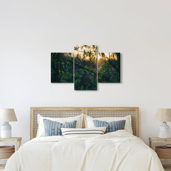 Obraz presvitajúceho slnka cez vetvičky stromov (90x60 cm)