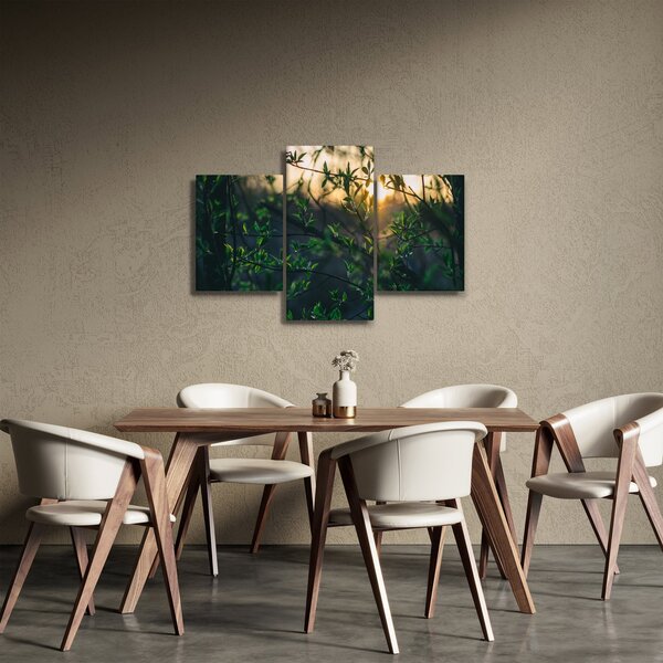 Obraz presvitajúceho slnka cez vetvičky stromov (90x60 cm)