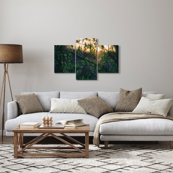 Obraz presvitajúceho slnka cez vetvičky stromov (90x60 cm)