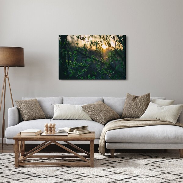 Obraz presvitajúceho slnka cez vetvičky stromov (90x60 cm)