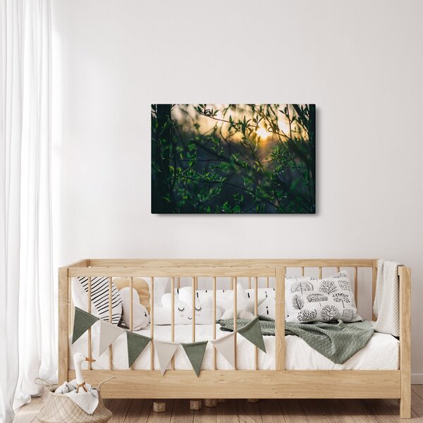 Obraz presvitajúceho slnka cez vetvičky stromov (90x60 cm)
