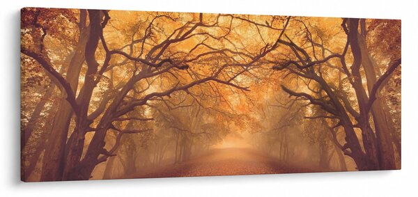 Obraz cesty v jesennej krajine (120x50 cm)