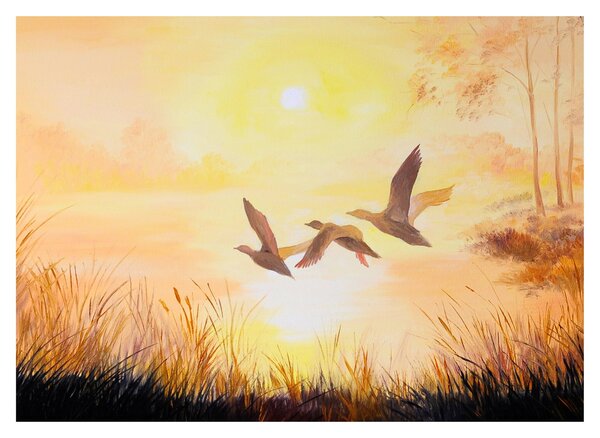 Obraz - Žeriavy pri západe slnka (70x50 cm)