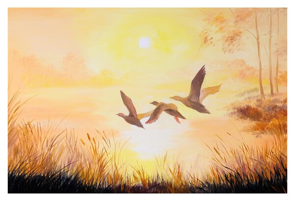 Obraz - Žeriavy pri západe slnka (90x60 cm)