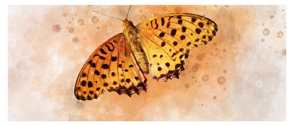 Obraz - Oranžový motýľ, aquarel (120x50 cm)