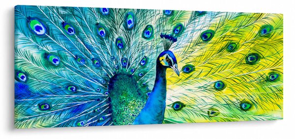 Obraz páva (120x50 cm)