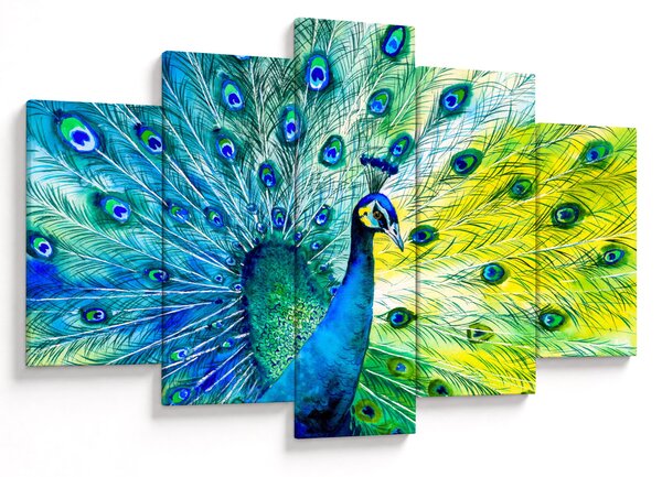 Obraz páva (150x105 cm)