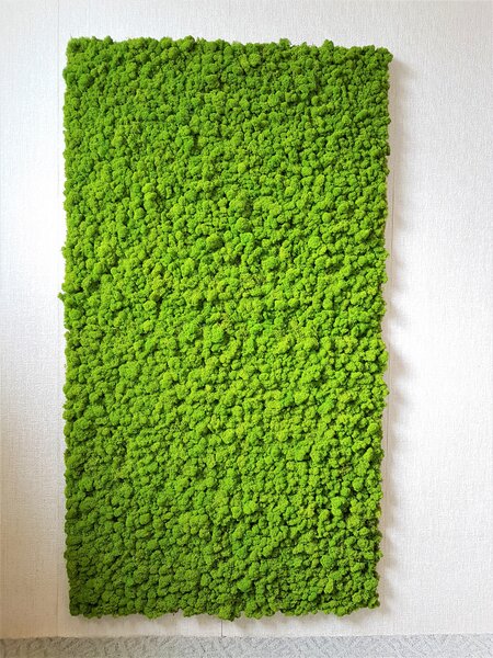 Machový panel 180cm x 100cm