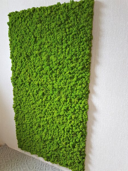 Machový panel 180cm x 100cm
