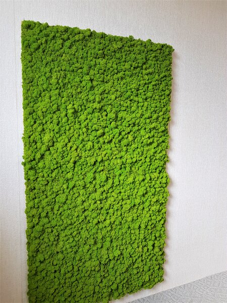 Machový panel 180cm x 100cm