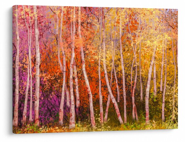 Obraz farebného lesa (70x50 cm)