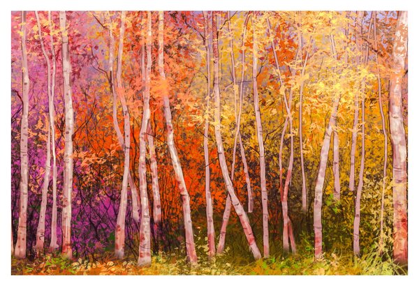Obraz farebného lesa (90x60 cm)