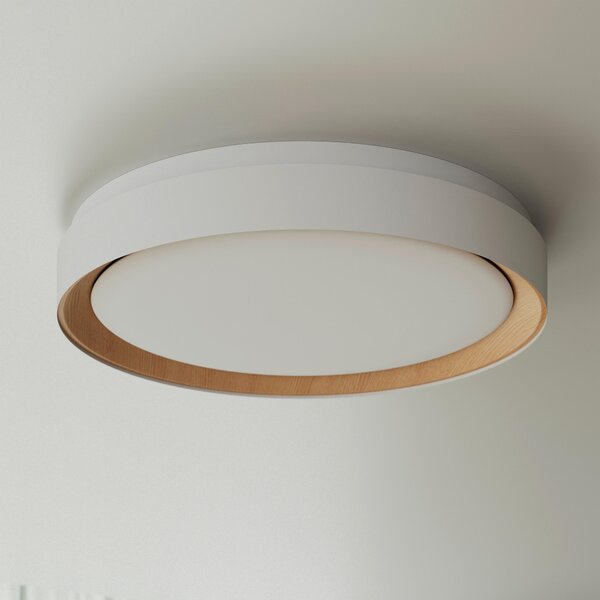 STROPNÉ LED SVIETIDLO, 48/8 cm Novel - Interiérové svietidlá