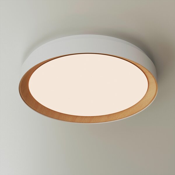 STROPNÉ LED SVIETIDLO, 48/8 cm Novel - Interiérové svietidlá