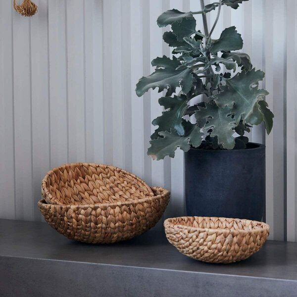 MUZZA SADA TROCH MISIEK WATER HYACINTH