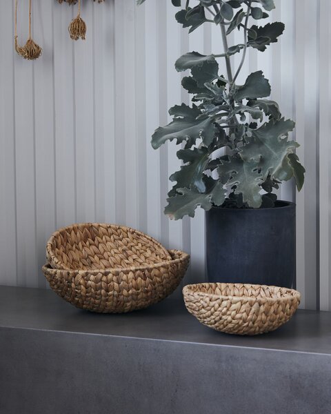 MUZZA SADA TROCH MISIEK WATER HYACINTH