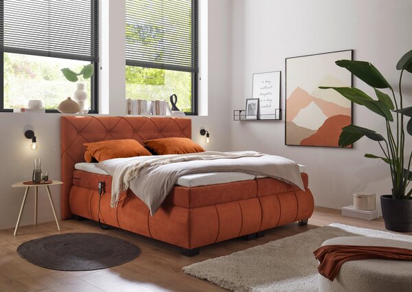 BOXSPRINGOVÁ POSTEĽ, 180/200 cm, koňaková MID.YOU - Online Only spálne, Online Only