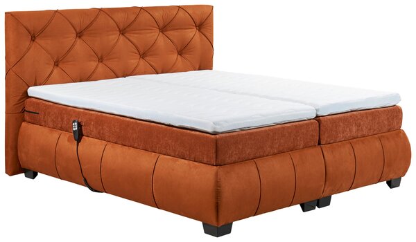 BOXSPRINGOVÁ POSTEĽ, 180/200 cm, koňaková MID.YOU - Online Only spálne, Online Only