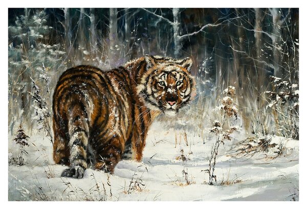 Obraz - Tiger v zasneženom lese, olejomaľba (90x60 cm)