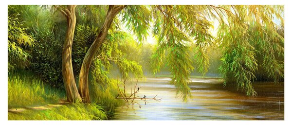 Obraz - Vŕba pri jazere, olejomaľba (120x50 cm)