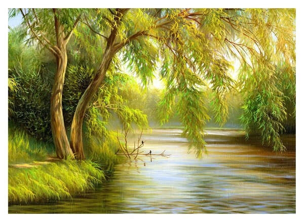 Obraz - Vŕba pri jazere, olejomaľba (70x50 cm)