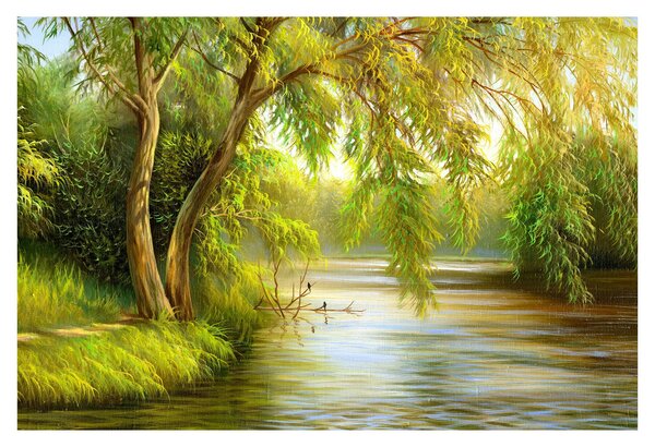 Obraz - Vŕba pri jazere, olejomaľba (90x60 cm)