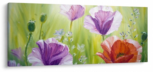 Obraz - Vlčie maky (120x50 cm)