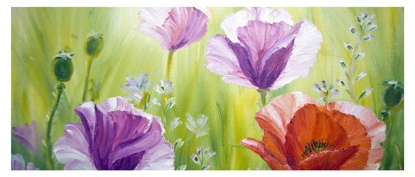 Obraz - Vlčie maky (120x50 cm)