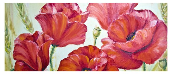 Obraz - Kvety vlčích makov (120x50 cm)