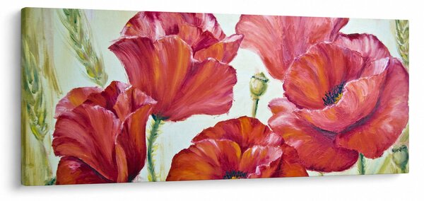 Obraz - Kvety vlčích makov (120x50 cm)