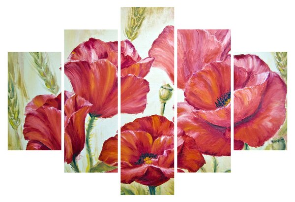 Obraz - Kvety vlčích makov (150x105 cm)
